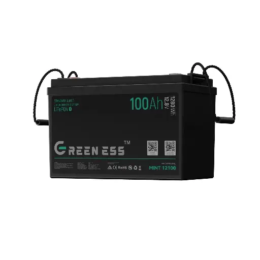 [FPBAT12100] MINT 12100 Battery